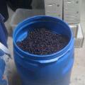 Winemaking