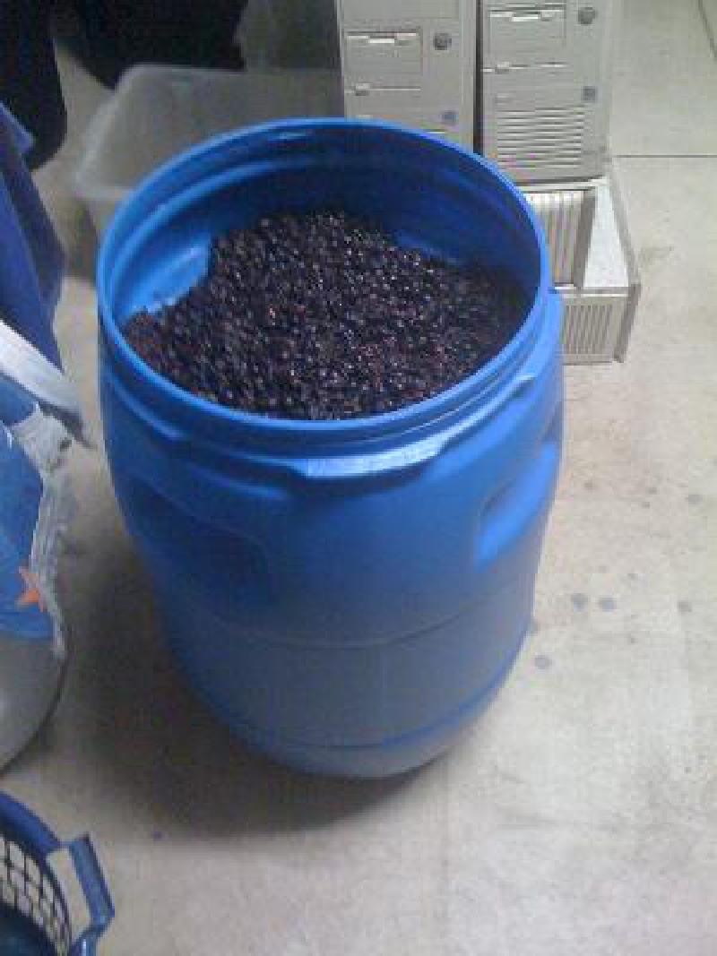 Featured image of post Winemaking